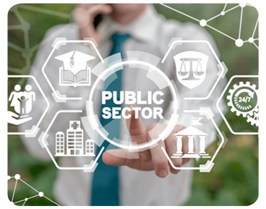 Government & Public Sector